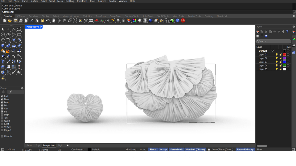 describe what you see in this image