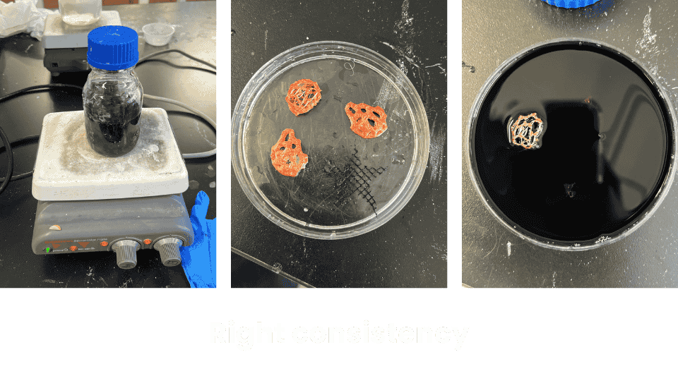 describe what you see in this image