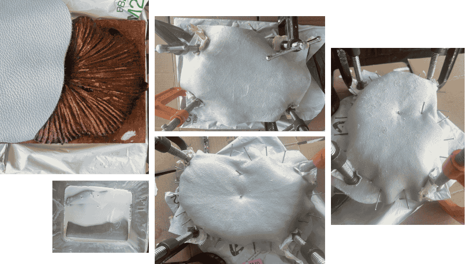 describe what you see in this image