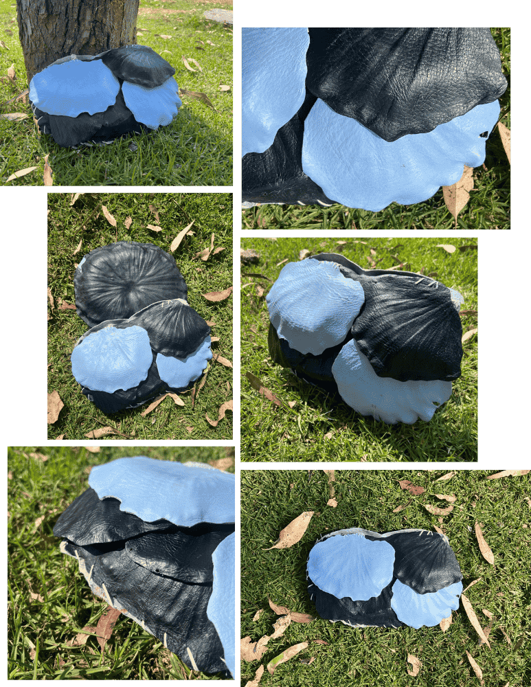 describe what you see in this image