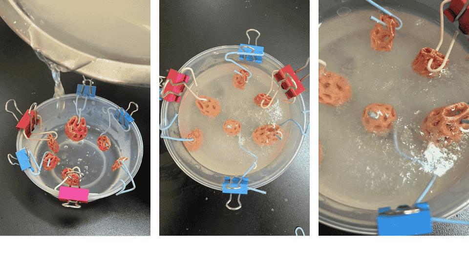 describe what you see in this image