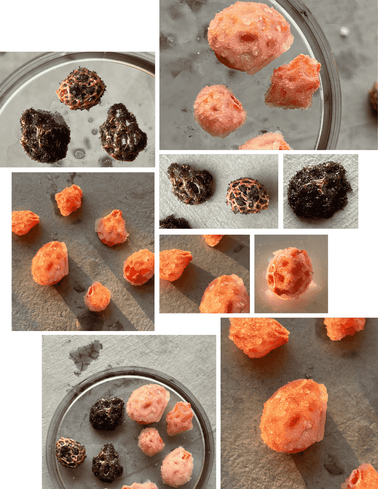 describe what you see in this image