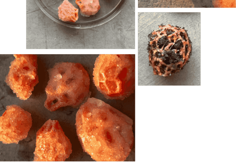 describe what you see in this image