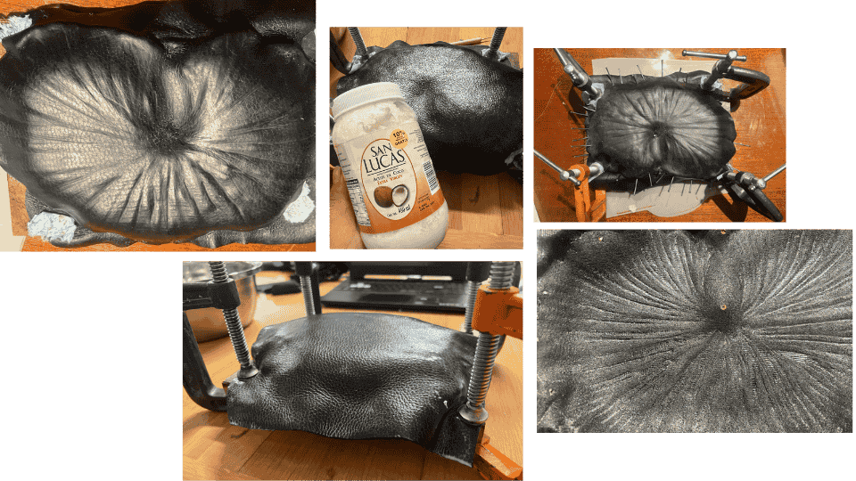 describe what you see in this image