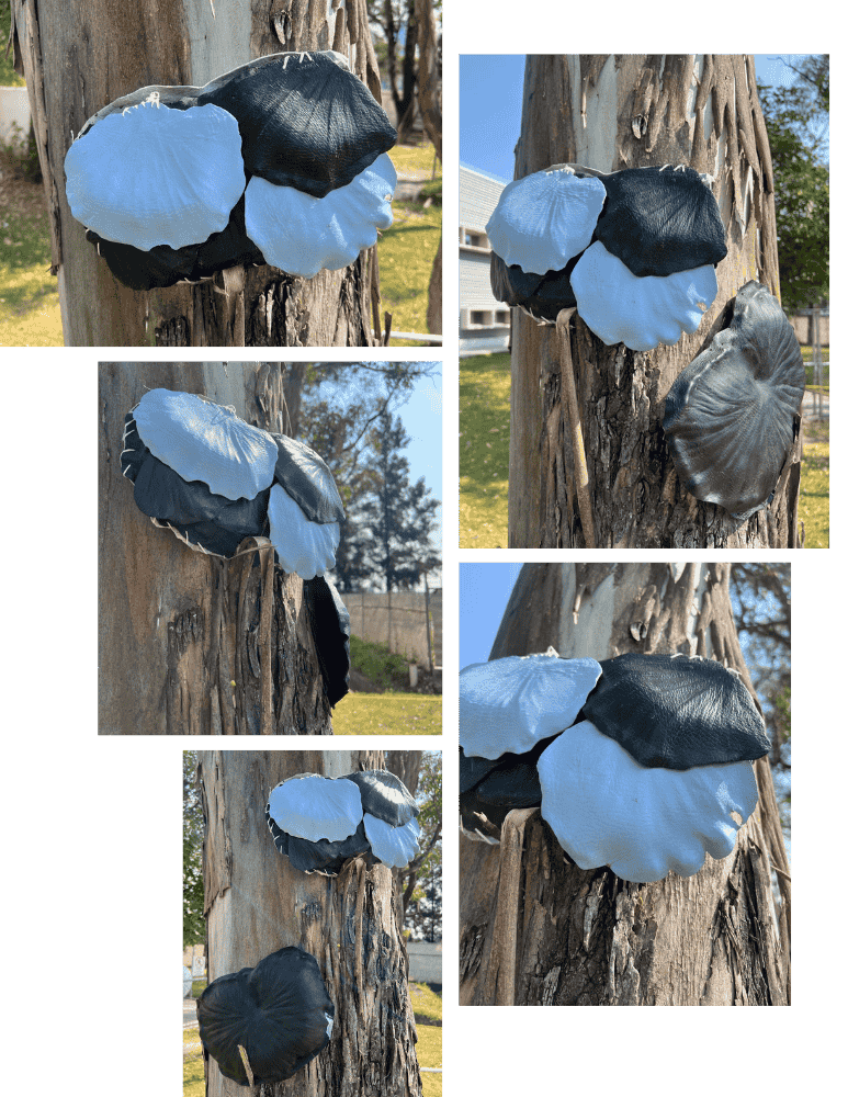 describe what you see in this image