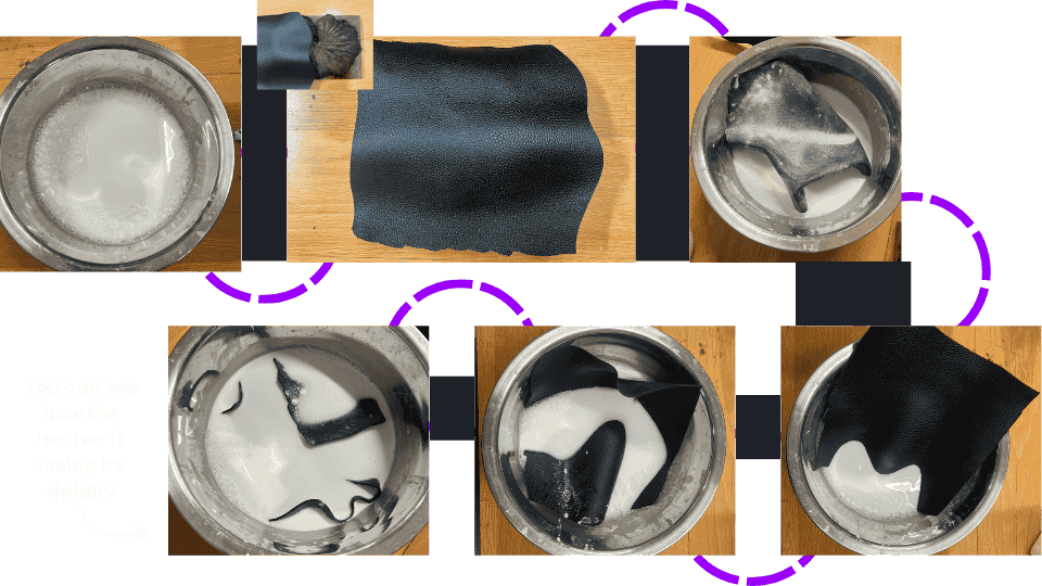 describe what you see in this image