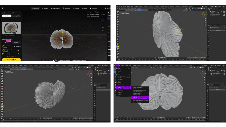 describe what you see in this image