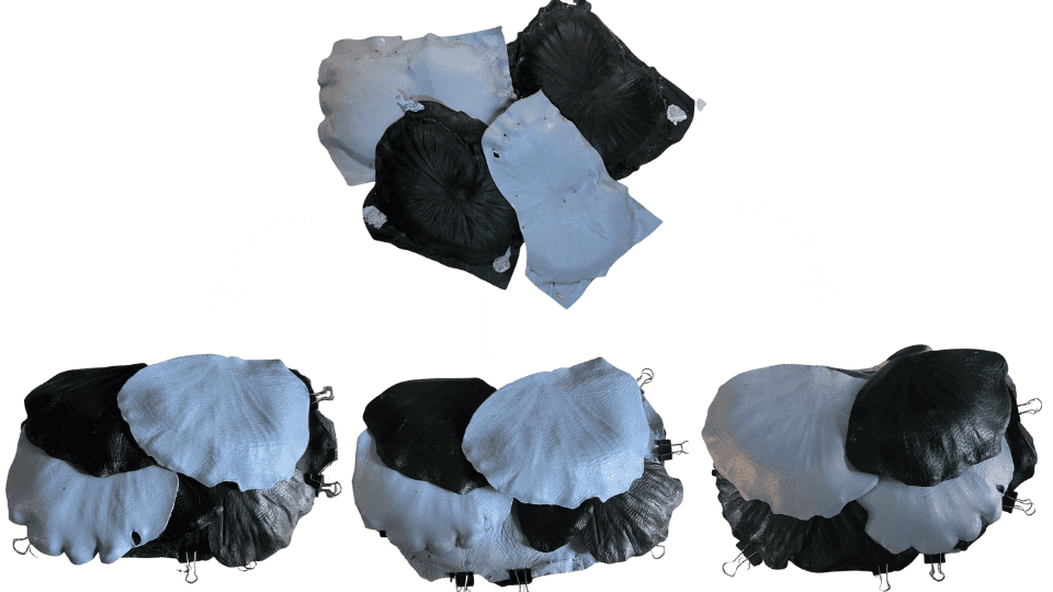 describe what you see in this image