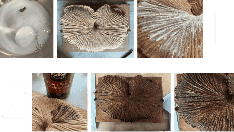 describe what you see in this image