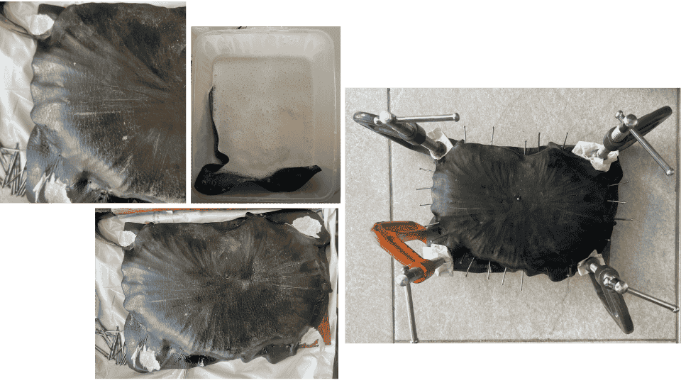 describe what you see in this image