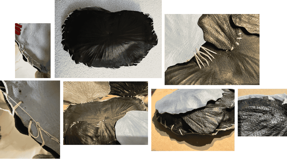 describe what you see in this image