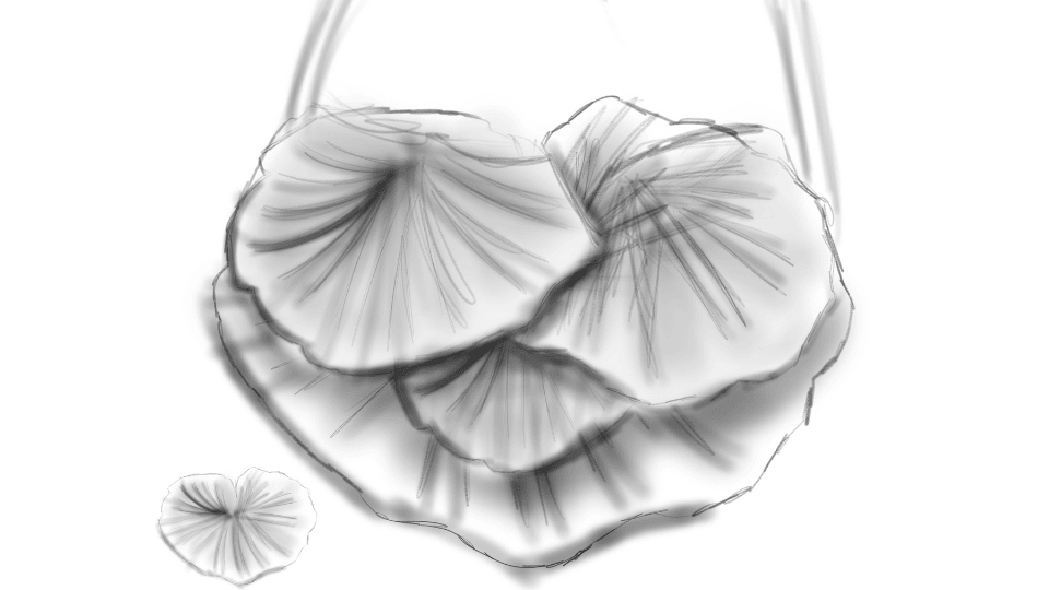 describe what you see in this image