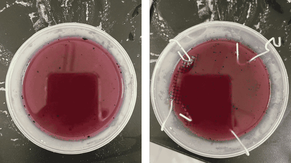 describe what you see in this image