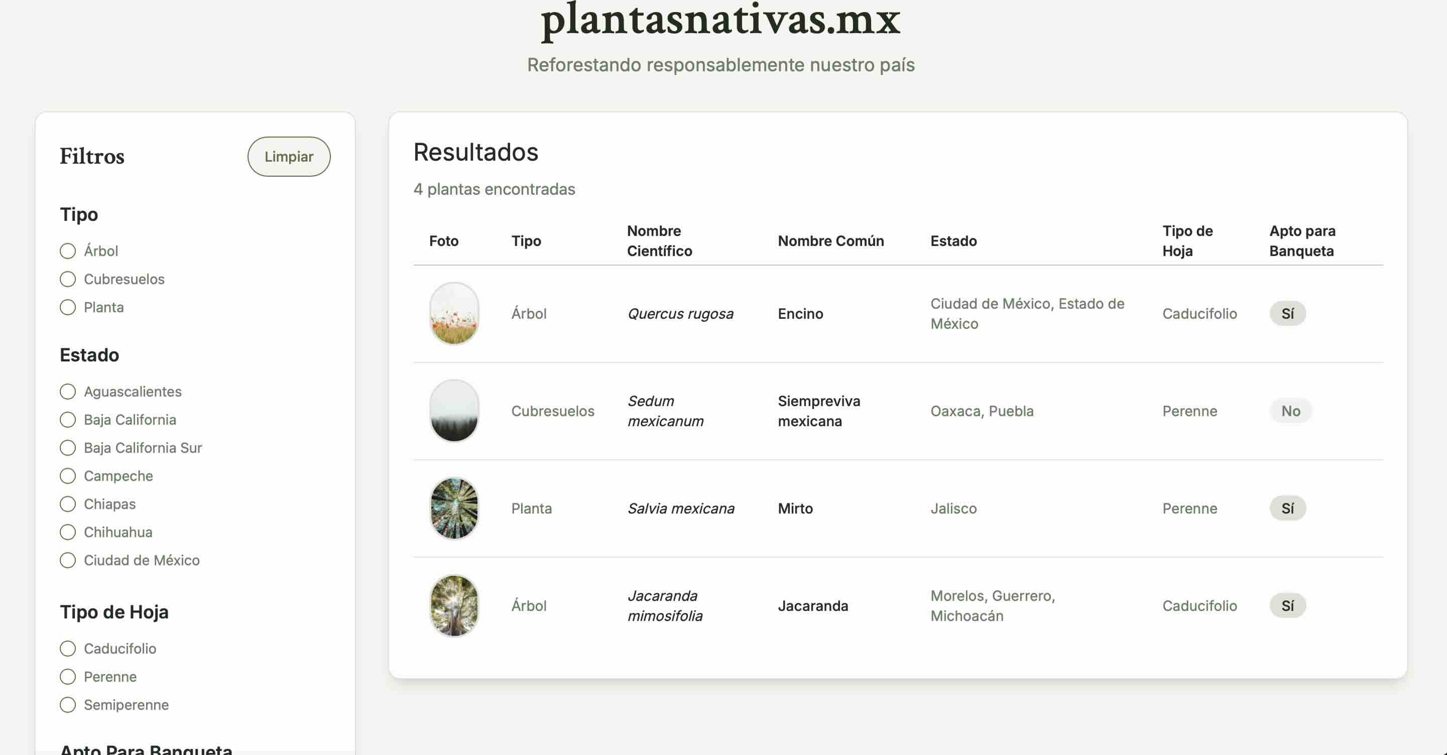 This is another caption