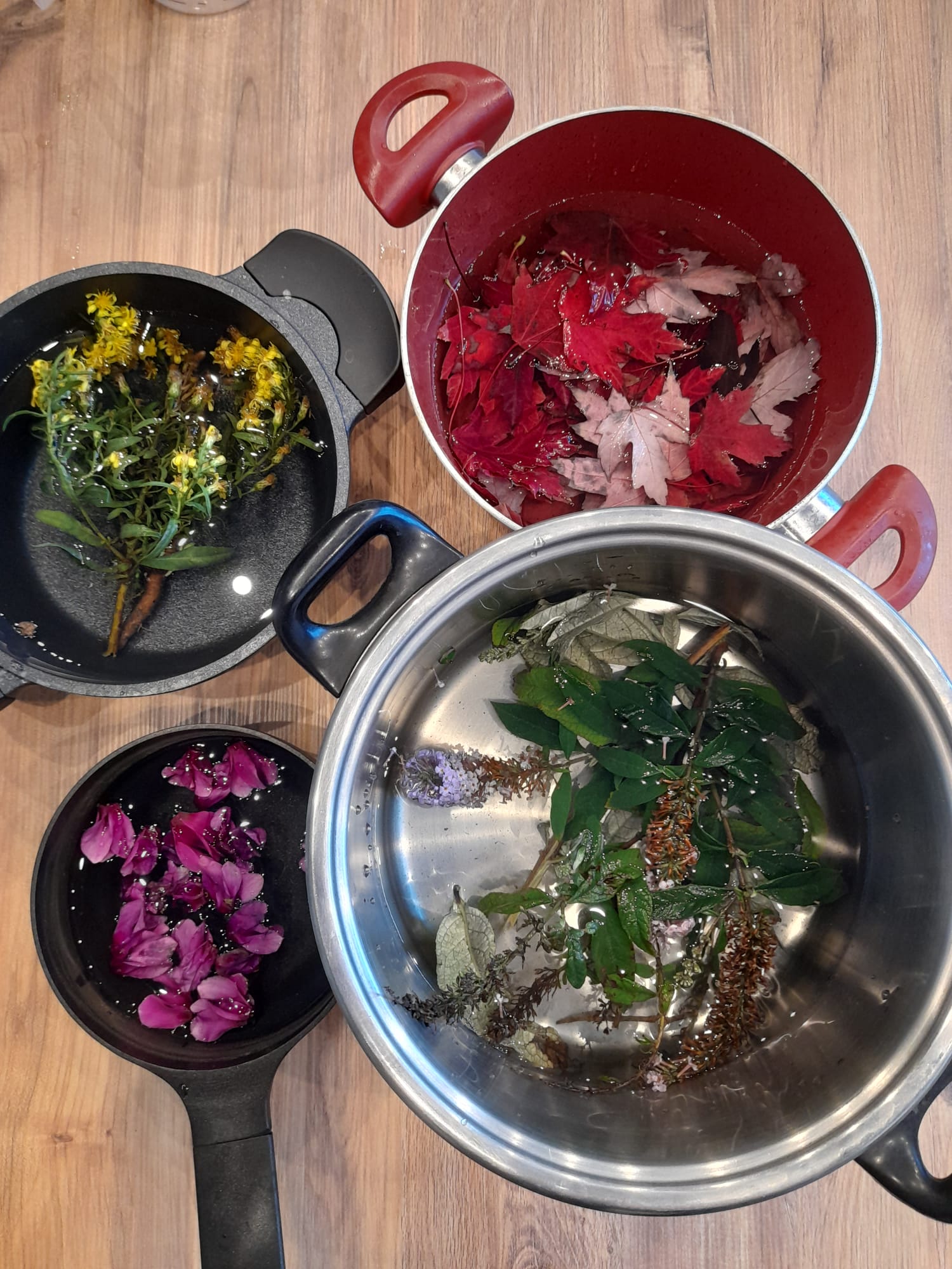 Boiling local plants