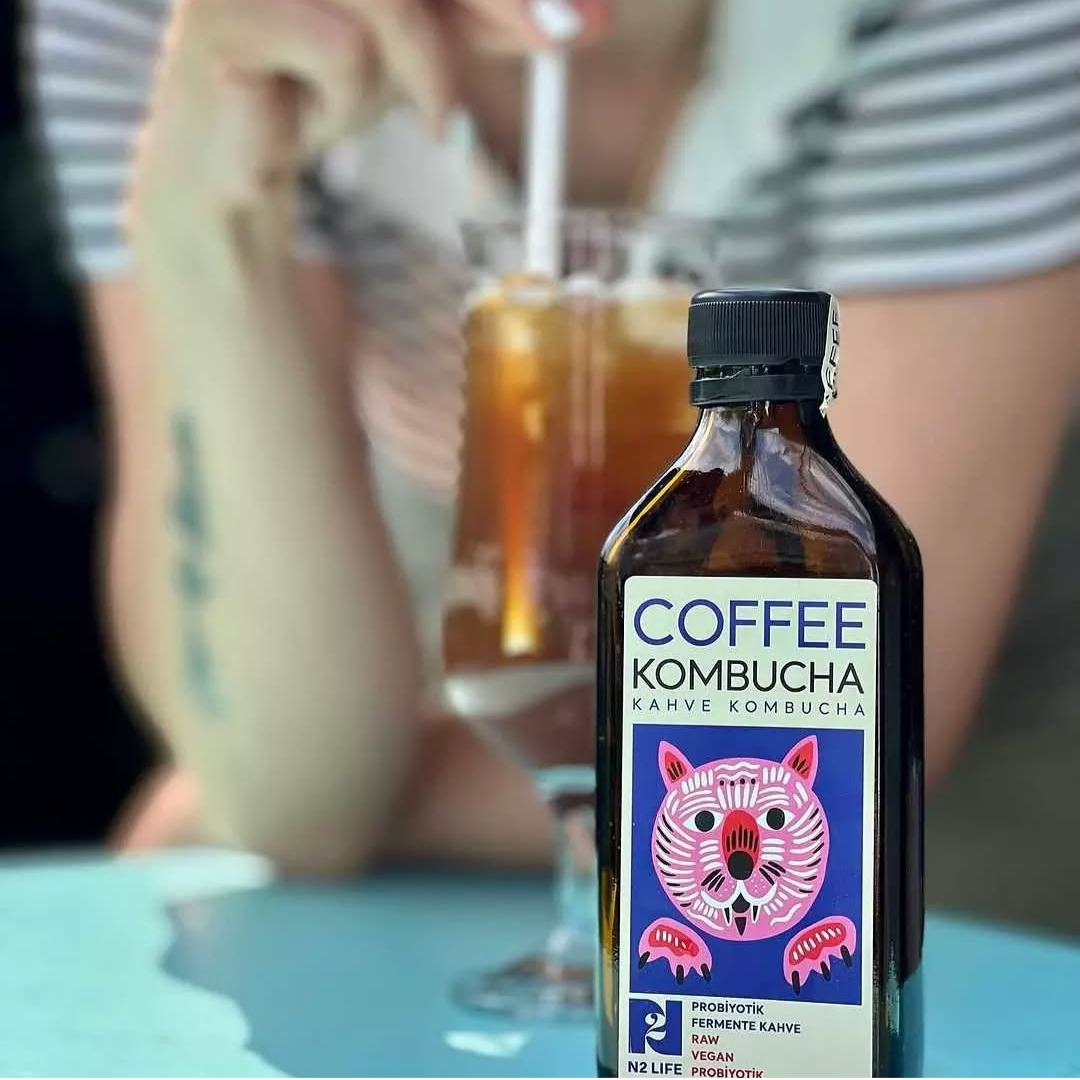 Coffee kombucha SCOBY