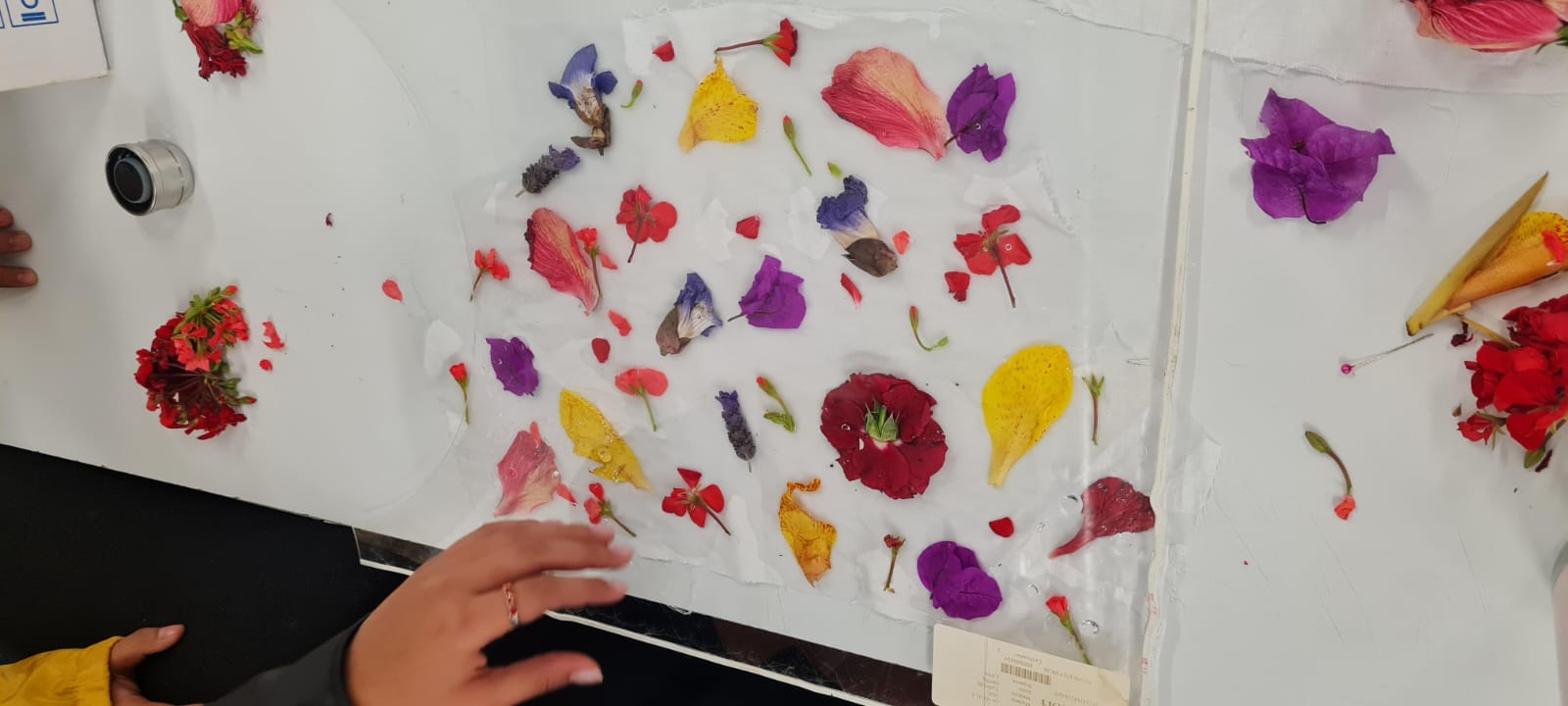 Printing process on the Linnen