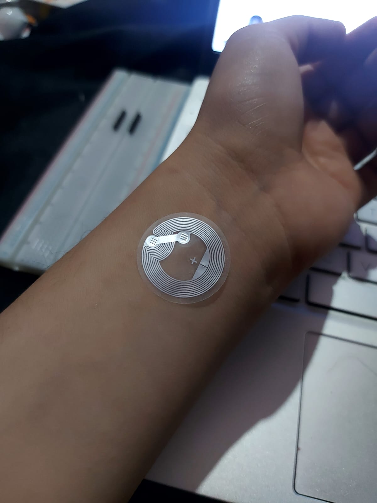 describe what you see in this image