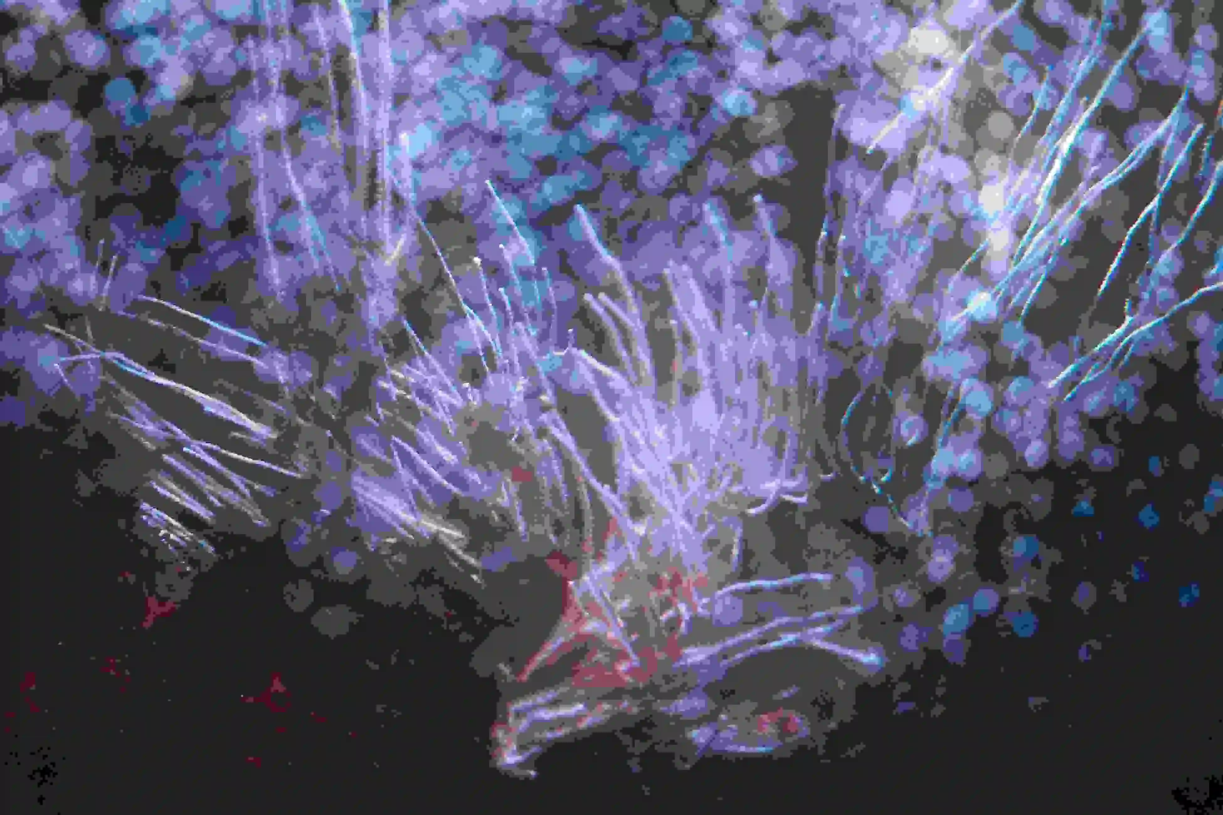 Like an anemone in different shades of purple aand pink in movement