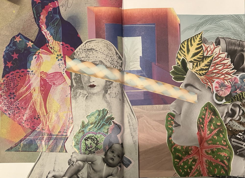 Concept collage for Inoscula
