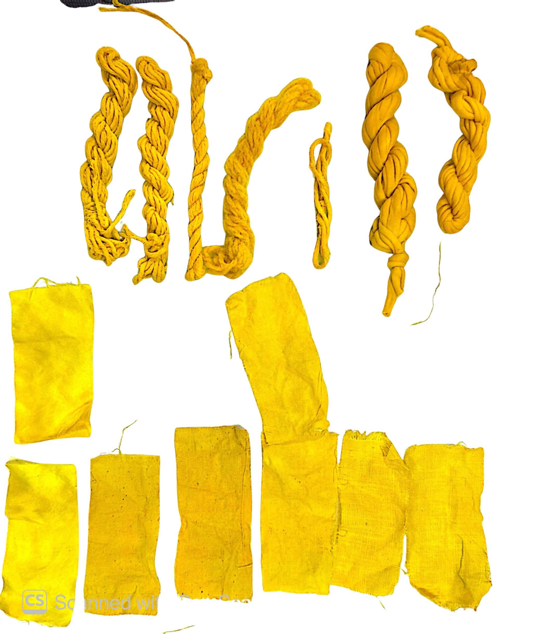scanned sample sheet of my natural dying experiments on multiple fibres