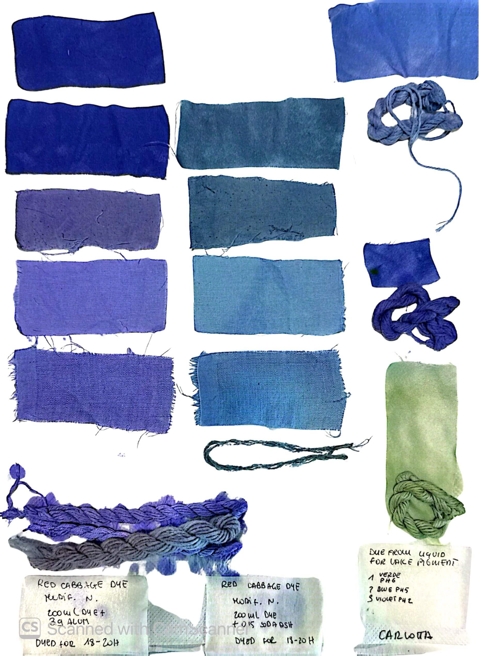 scanned sample sheet of my natural dying experiments on multiple fibres