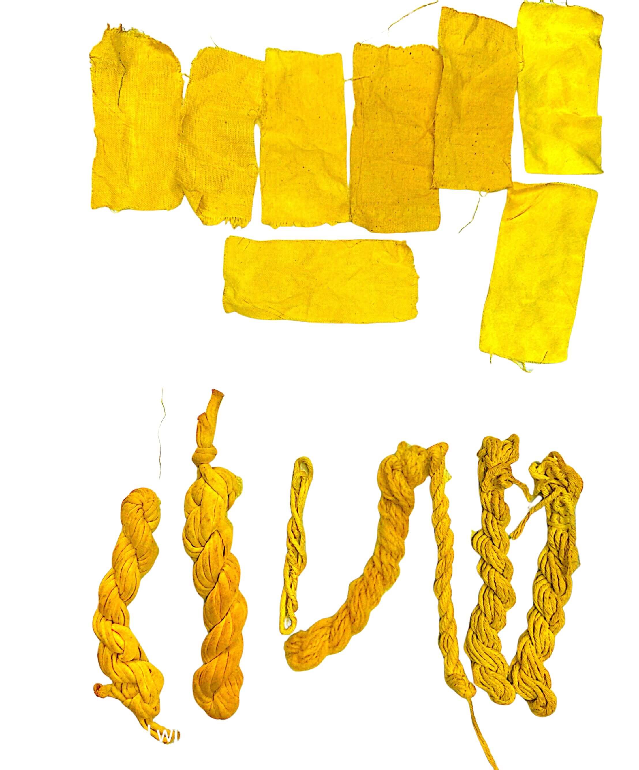 scanned sample sheet of my natural dying experiments on multiple fibres