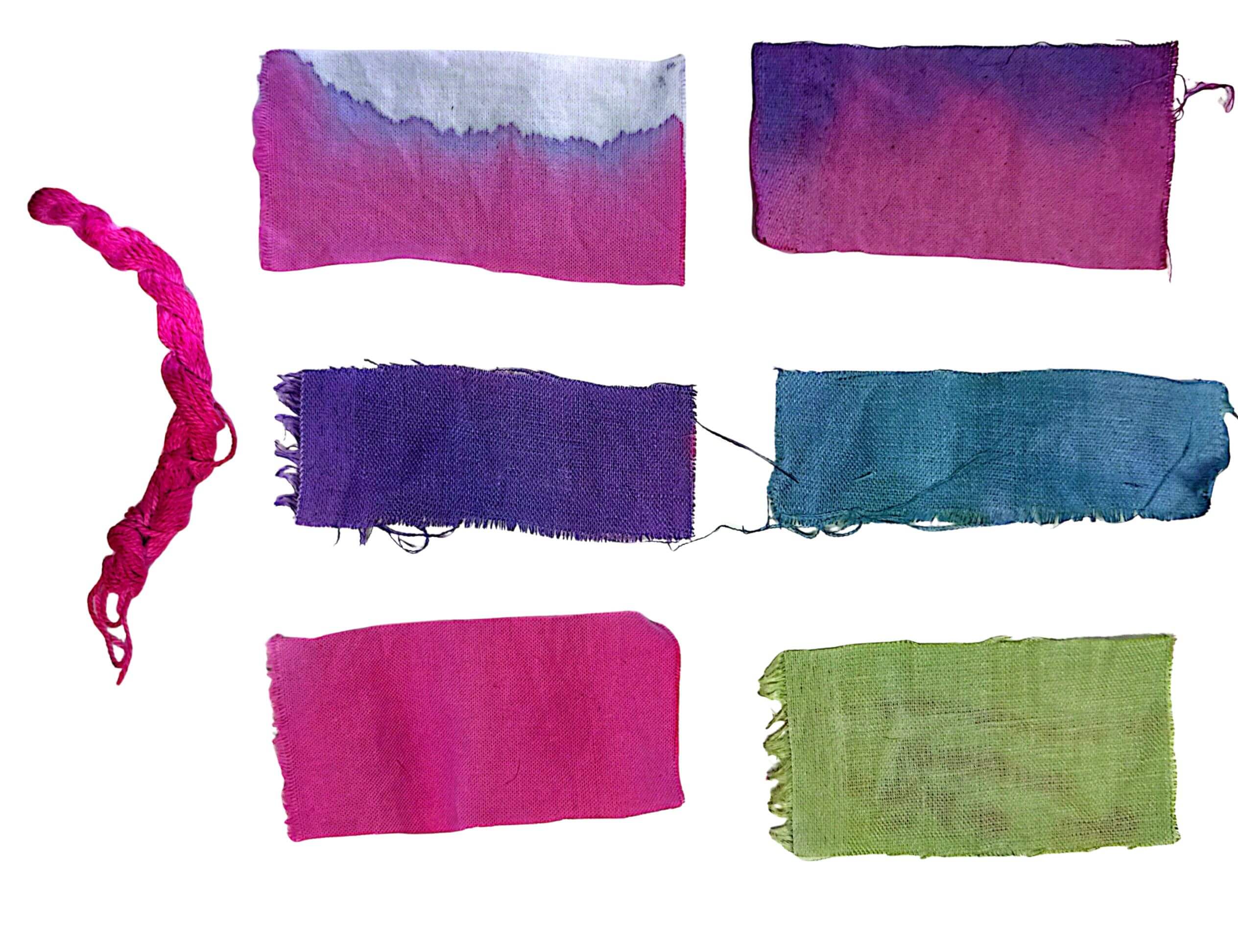 scanned sample sheet of my natural dying experiments on multiple fibres