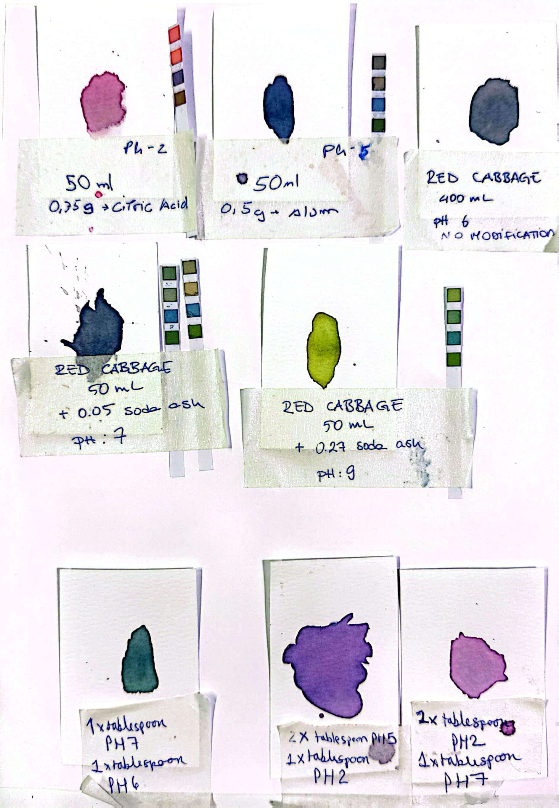 scanned sample sheet of red cabbage dyes with acid and alkaline modifications