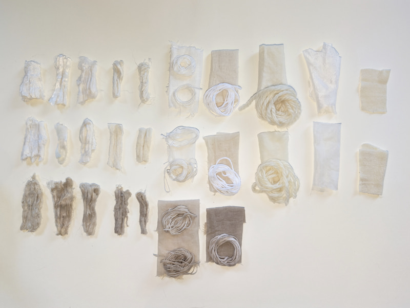Mordanting the fibres
