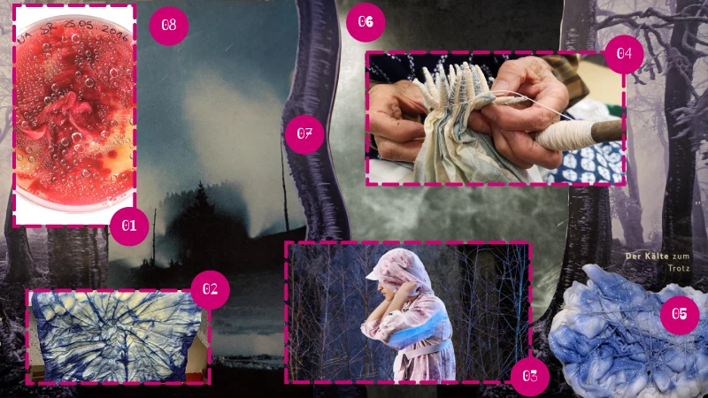 Inspiration Collage
