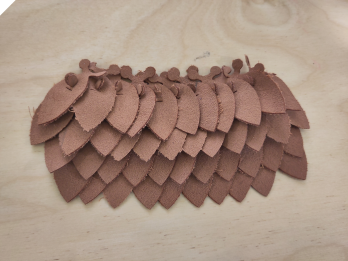 Scale structure laid flat