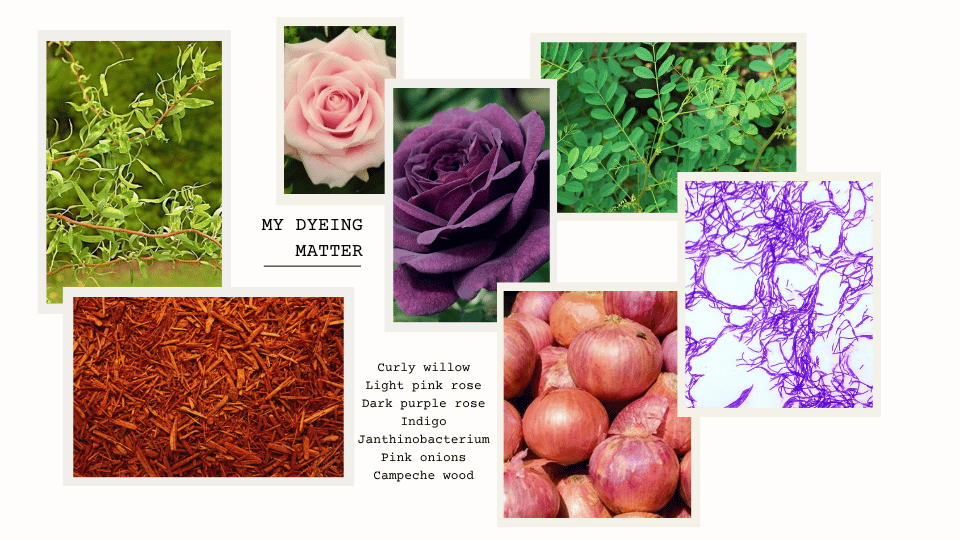 My dyeing matter